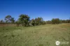367 Kemps Access, Collombatti, NSW 2440-Image