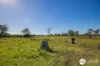 367 Kemps Access, Collombatti, NSW 2440-Image