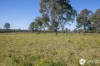 367 Kemps Access, Collombatti, NSW 2440-Image