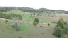 368 Woodleigh Nutgrove Road, Maclagan QLD 4352-Image