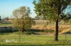 37 Carcoar Street, Orange, NSW 2800-Image