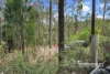37 Cawood Close, Jarrahmond, Vic 3888-Image