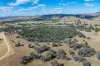 3705 Frogmore Road, Hovells Creek, NSW 2794-Image