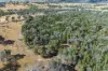 3705 Frogmore Road, Hovells Creek, NSW 2794-Image