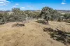3705 Frogmore Road, Hovells Creek, NSW 2794-Image