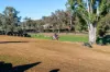 3717 - 3753 Jingellic Road, Tumbarumba, NSW 2653-Image