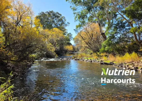 372 Upper King River Road, Cheshunt, Vic 3678