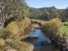 372 Upper King River Road, Cheshunt, Vic 3678-Image