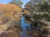 372 Upper King River Road, Cheshunt, Vic 3678-Image