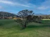 372 Upper King River Road, Cheshunt, Vic 3678-Image