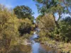 372 Upper King River Road, Cheshunt, Vic 3678-Image