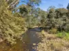 372 Upper King River Road, Cheshunt, Vic 3678-Image