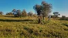 373 Old Gunyah Road, Quorn, SA 5433-Image