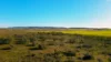 373 Old Gunyah Road, Quorn, SA 5433-Image