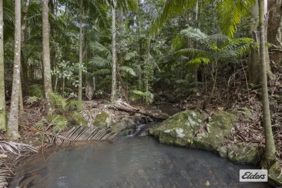 374 Couchy Creek Road, Numinbah, NSW 2484