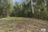 374 Couchy Creek Road, Numinbah, NSW 2484-Image