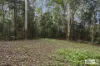 374 Couchy Creek Road, Numinbah, NSW 2484-Image