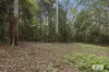374 Couchy Creek Road, Numinbah, NSW 2484-Image
