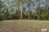 374 Couchy Creek Road, Numinbah, NSW 2484-Image