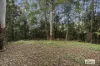 374 Couchy Creek Road, Numinbah, NSW 2484-Image