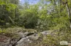 374 Couchy Creek Road, Numinbah, NSW 2484-Image
