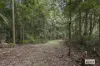 374 Couchy Creek Road, Numinbah, NSW 2484-Image