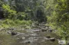 374 Couchy Creek Road, Numinbah, NSW 2484-Image