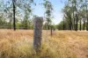 375 Duffs Boundary Road, Durong QLD 4610-Image