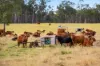 375 Duffs Boundary Road, Durong QLD 4610-Image