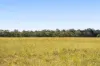375 Duffs Boundary Road, Durong QLD 4610-Image