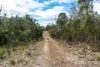 3754 Arthur Highway, Murdunna, Tas 7178-Image