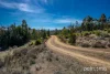 3754 Arthur Highway, Murdunna, Tas 7178-Image