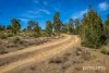 3754 Arthur Highway, Murdunna, Tas 7178-Image