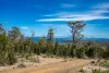 3754 Arthur Highway, Murdunna, Tas 7178-Image