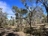 3775 Coonabarabran Road, Coonabarabran, NSW 2357-Image
