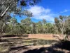 3775 Coonabarabran Road, Coonabarabran, NSW 2357-Image