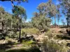 3775 Coonabarabran Road, Coonabarabran, NSW 2357-Image