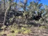3775 Coonabarabran Road, Coonabarabran, NSW 2357-Image