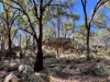 3775 Coonabarabran Road, Coonabarabran, NSW 2357-Image