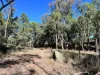 3775 Coonabarabran Road, Coonabarabran, NSW 2357-Image