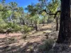 3775 Coonabarabran Road, Coonabarabran, NSW 2357-Image