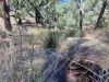 3775 Coonabarabran Road, Coonabarabran, NSW 2357-Image