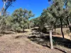 3775 Coonabarabran Road, Coonabarabran, NSW 2357-Image