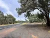 3775 Coonabarabran Road, Coonabarabran, NSW 2357-Image