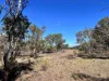 3775 Coonabarabran Road, Coonabarabran, NSW 2357-Image