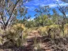 3775 Coonabarabran Road, Coonabarabran, NSW 2357-Image