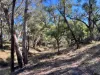 3775 Coonabarabran Road, Coonabarabran, NSW 2357-Image