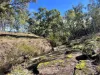3775 Coonabarabran Road, Coonabarabran, NSW 2357-Image