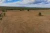 380 Brobenah Hall Road, Leeton, NSW 2705-Image