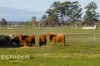 381 Ambergate Road, Ambergate, WA 6280-Image